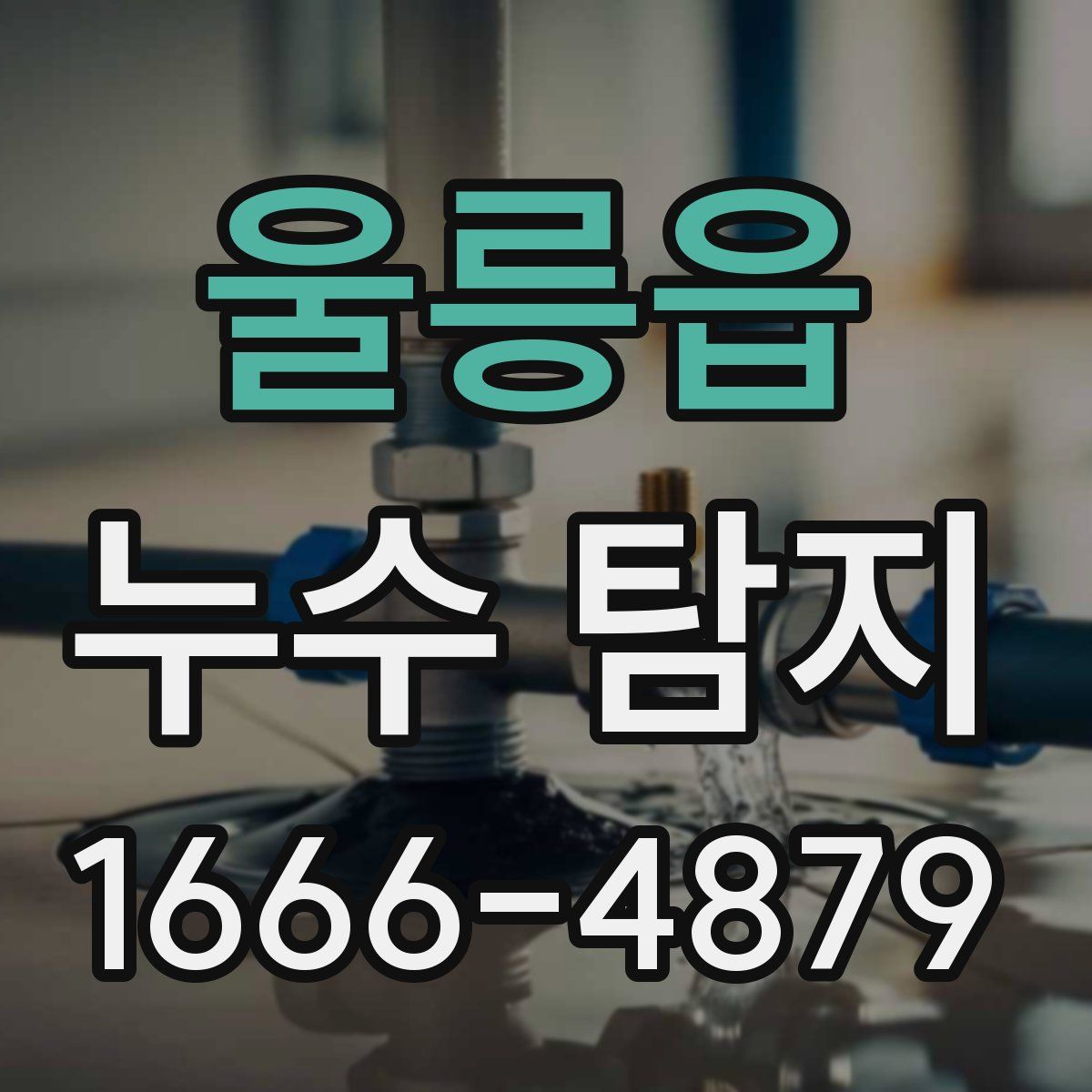 울릉읍 누수 탐지