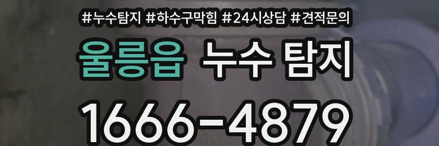 울릉읍 누수 탐지