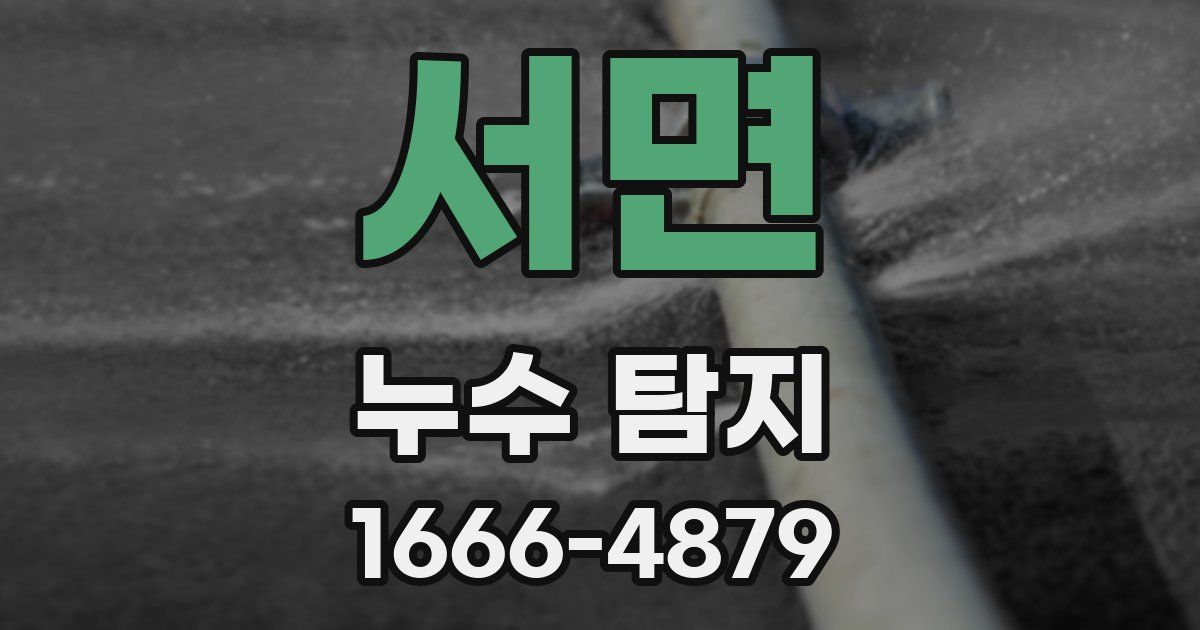 서면 누수 탐지