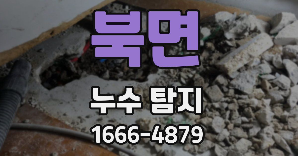 북면 누수 탐지