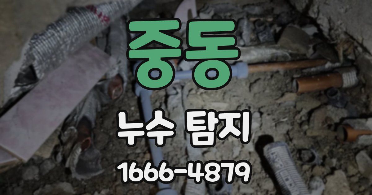 중동 누수 탐지
