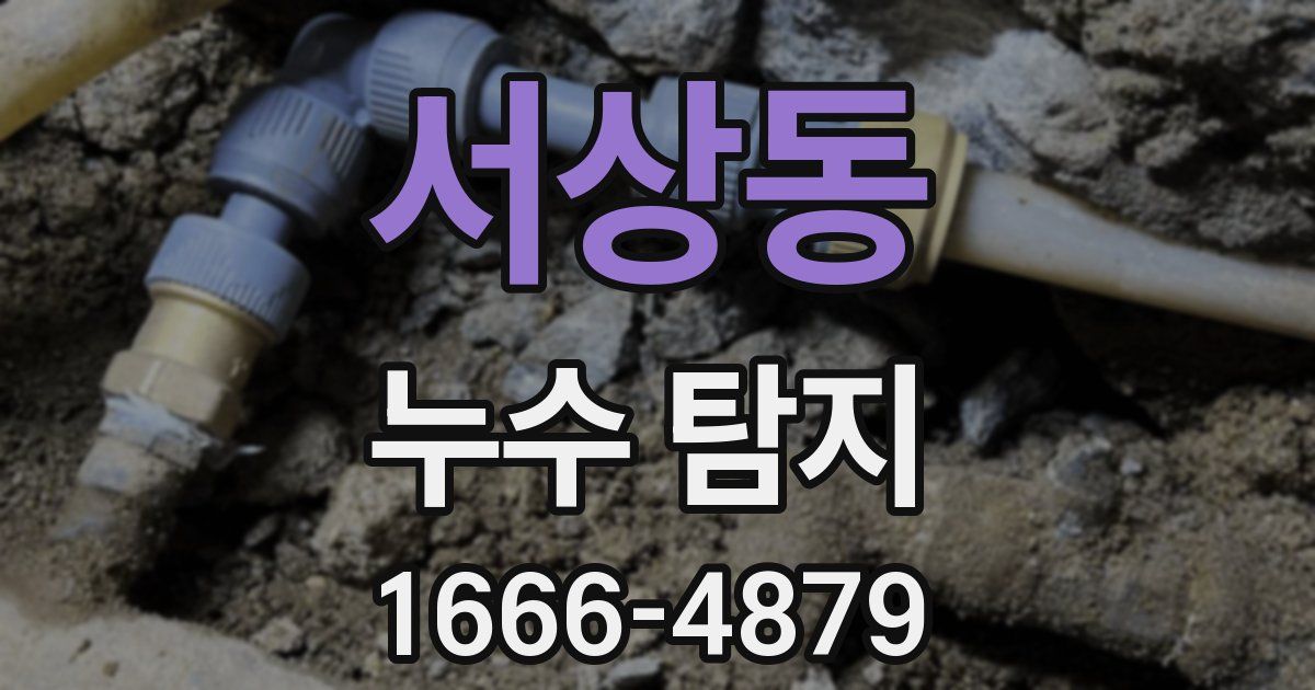 서상동 누수 탐지