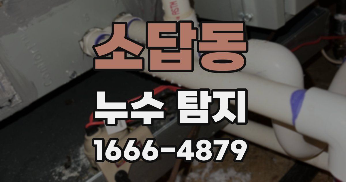 소답동 누수 탐지