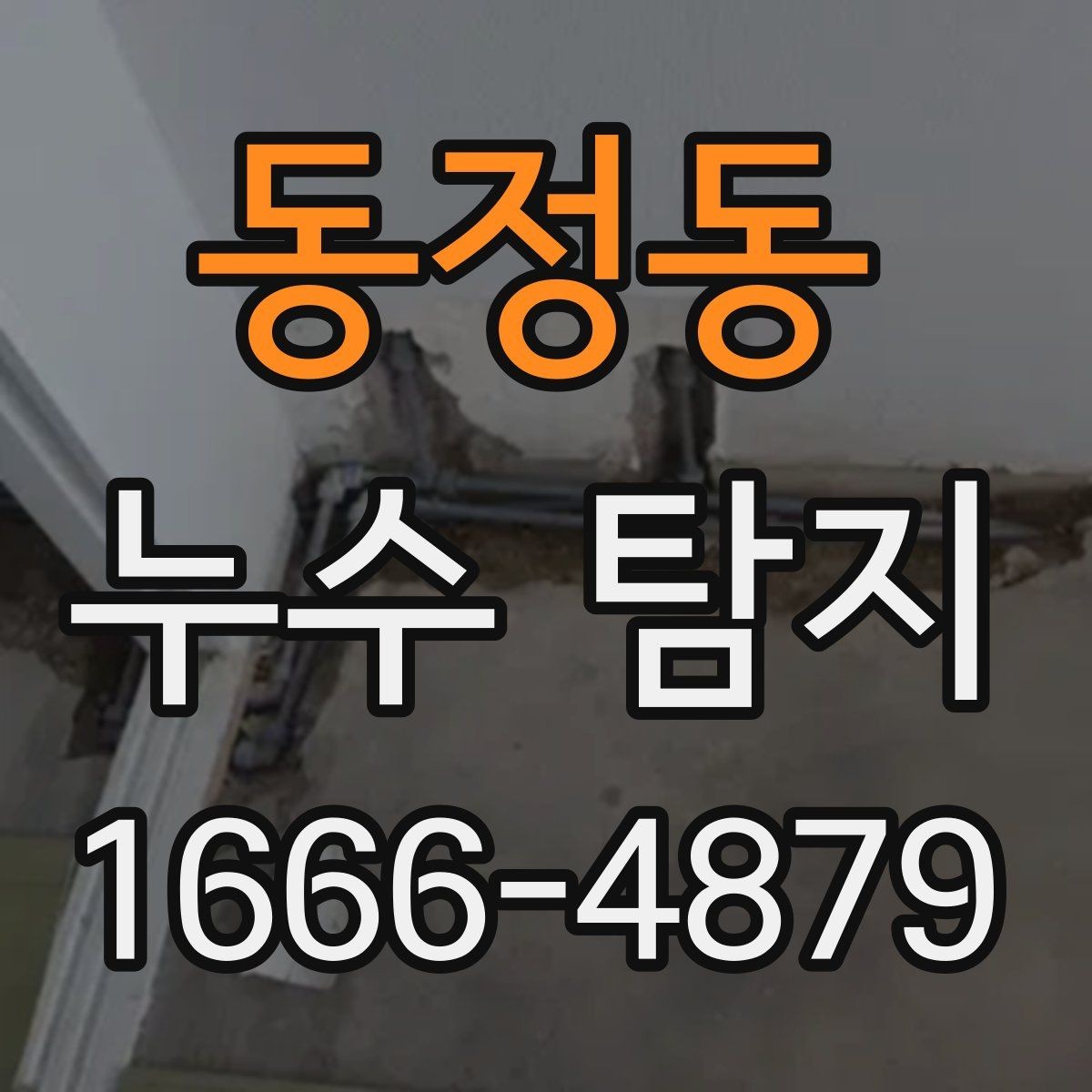 동정동 누수 탐지 전문가 상담이 필요한 순간