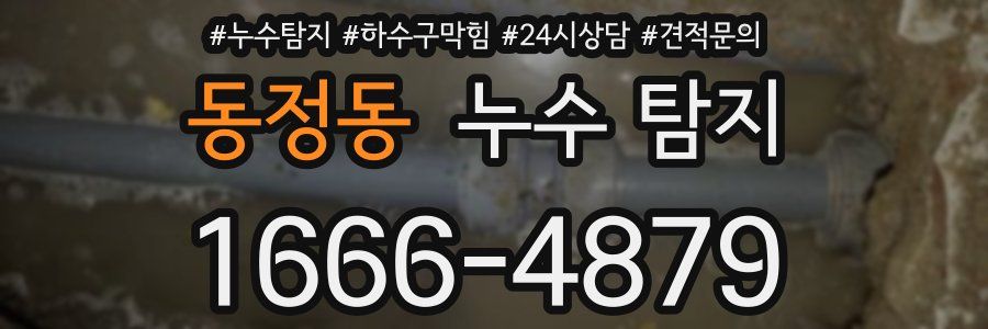 동정동 누수 탐지