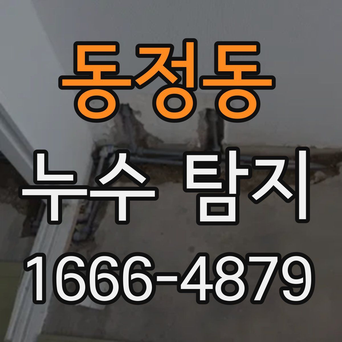 동정동 누수 탐지