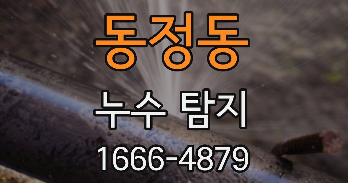 동정동 누수 탐지