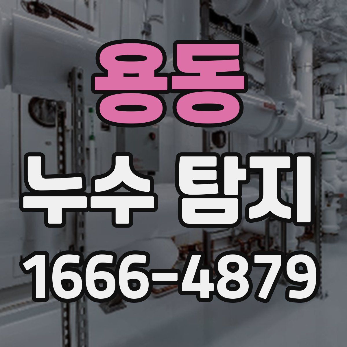 용동 누수 탐지