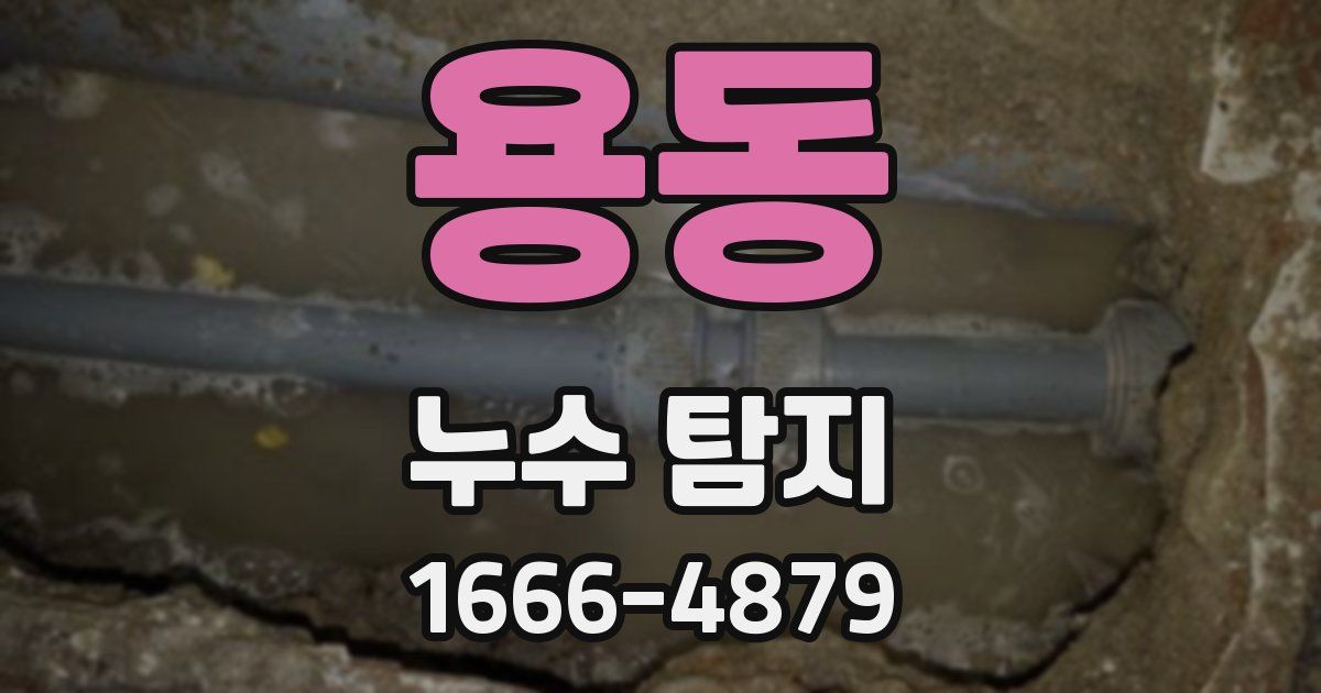 용동 누수 탐지