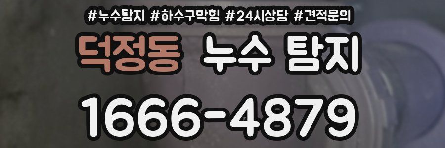 덕정동 누수 탐지