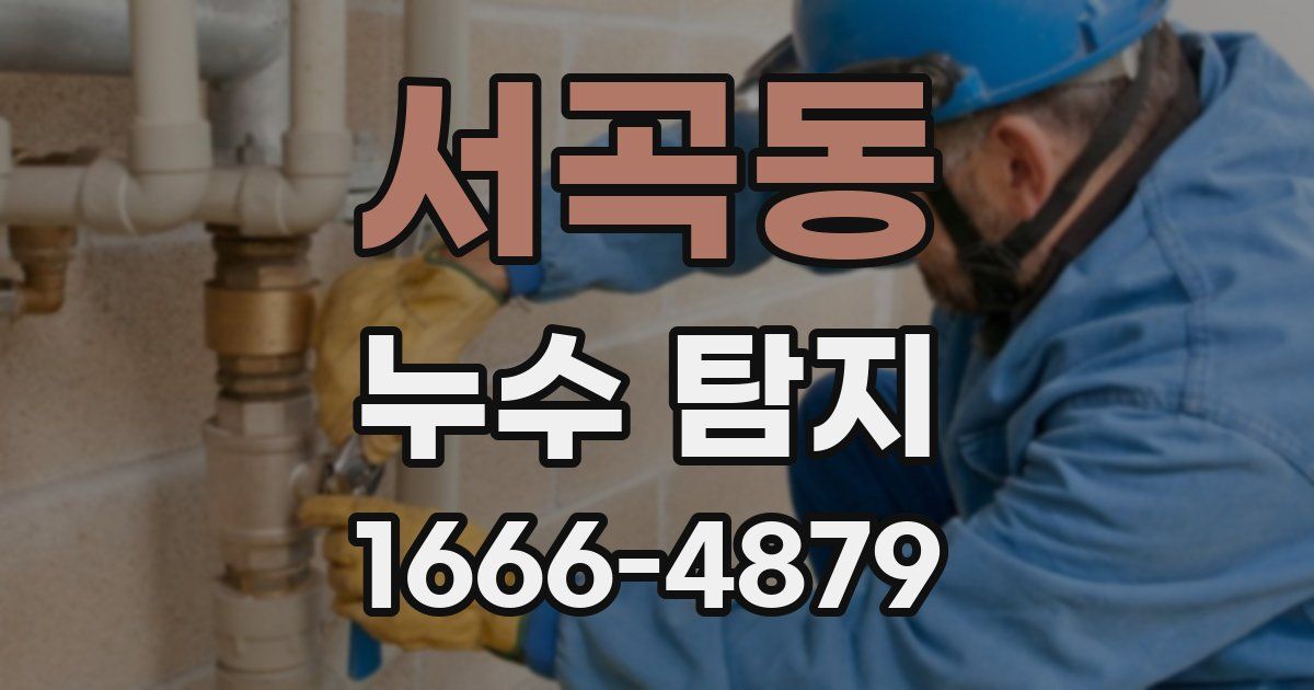 서곡동 누수 탐지