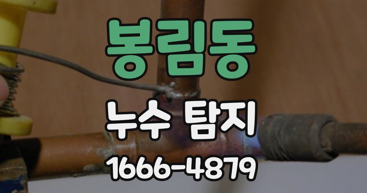 봉림동 누수 탐지