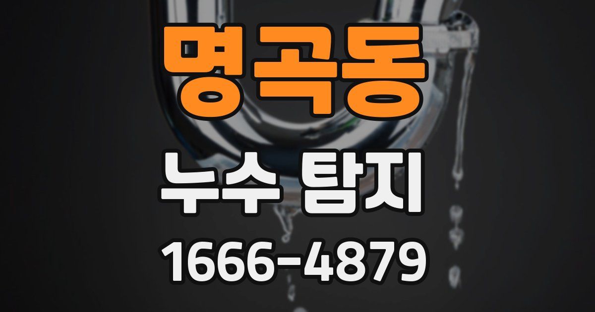 명곡동 누수 탐지