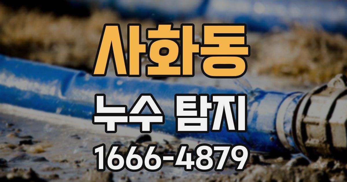 사화동 누수 탐지