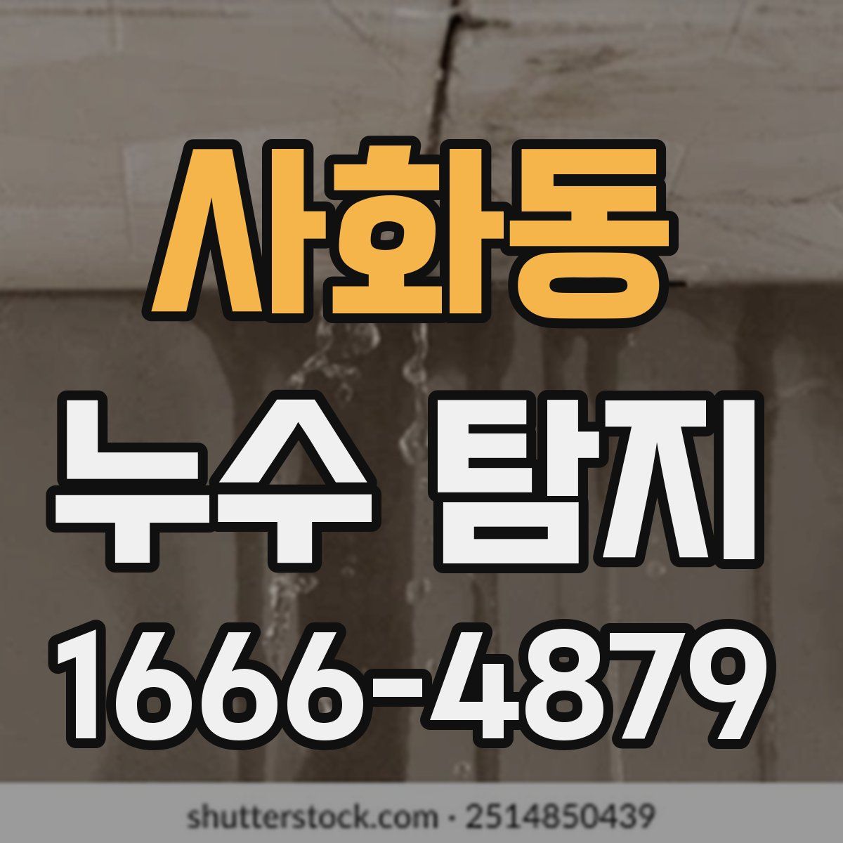 사화동 누수 탐지