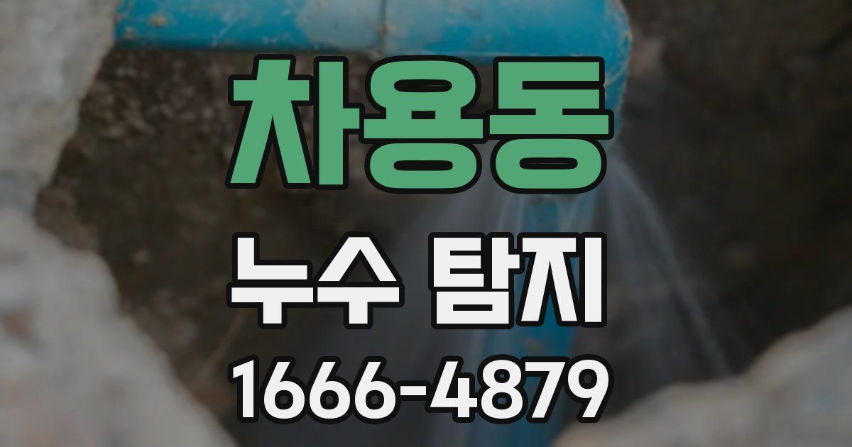 차용동 누수 탐지