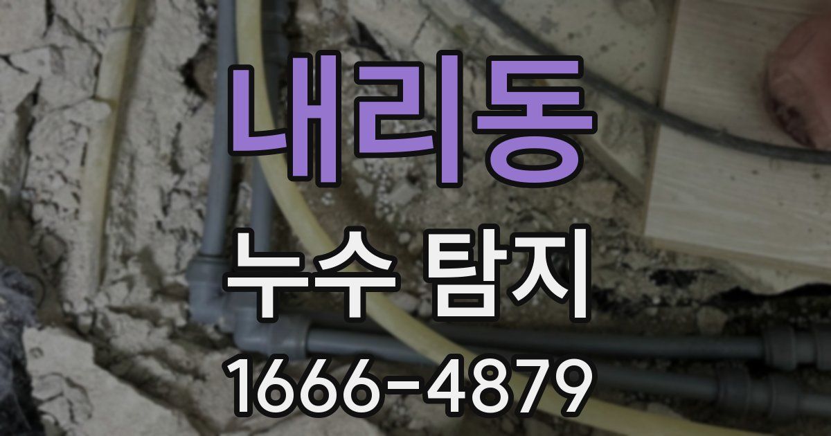 내리동 누수 탐지