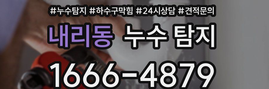 내리동 누수 탐지
