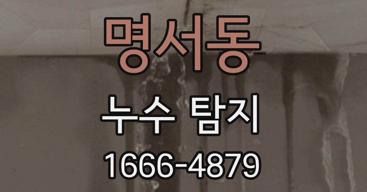 명서동 누수 탐지