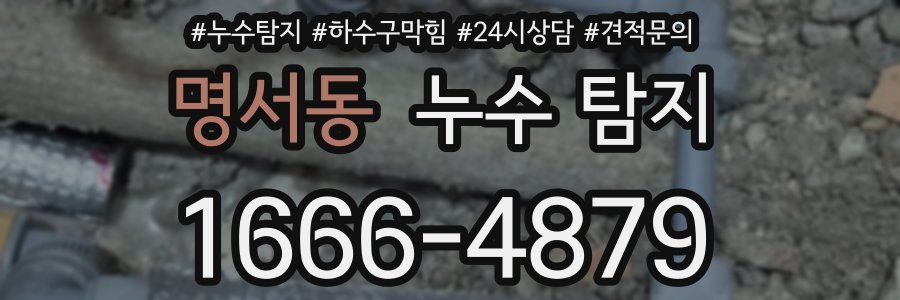 명서동 누수 탐지
