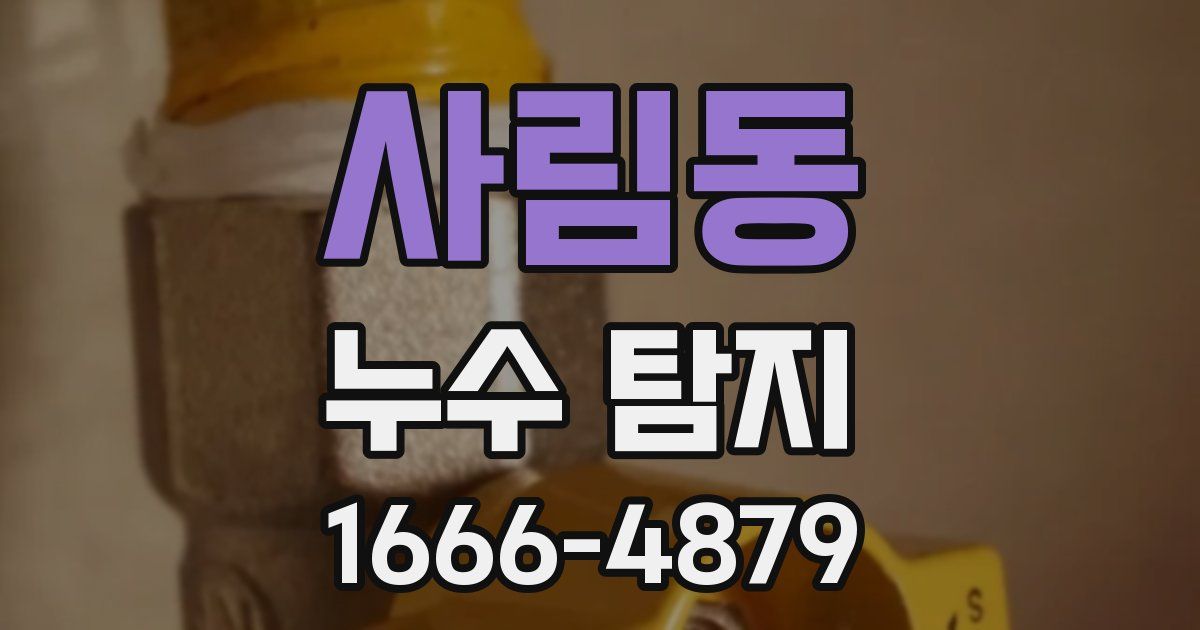 사림동 누수 탐지