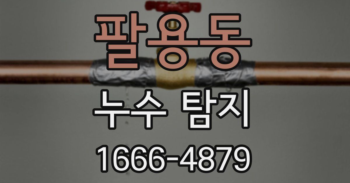 팔용동 누수 탐지