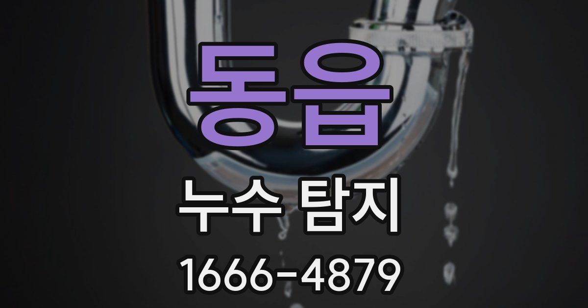 동읍 누수 탐지