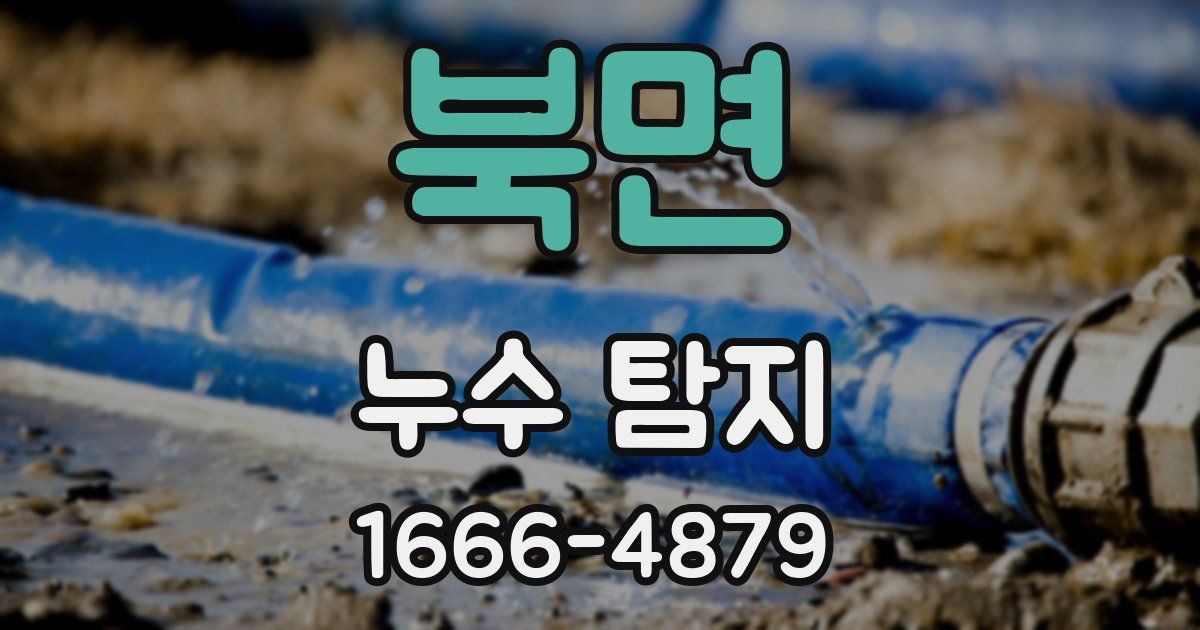 북면 누수 탐지