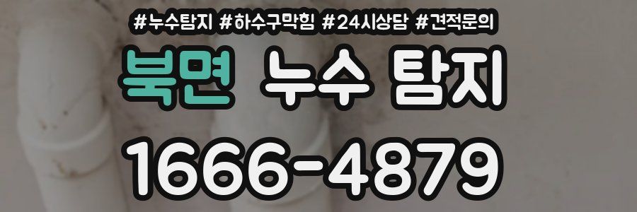 북면 누수 탐지