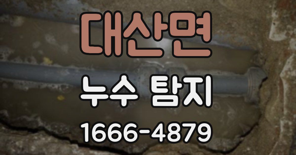 대산면 누수 탐지
