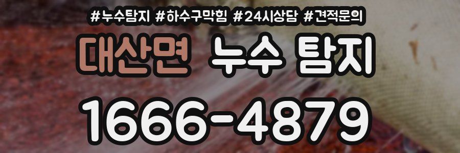 대산면 누수 탐지
