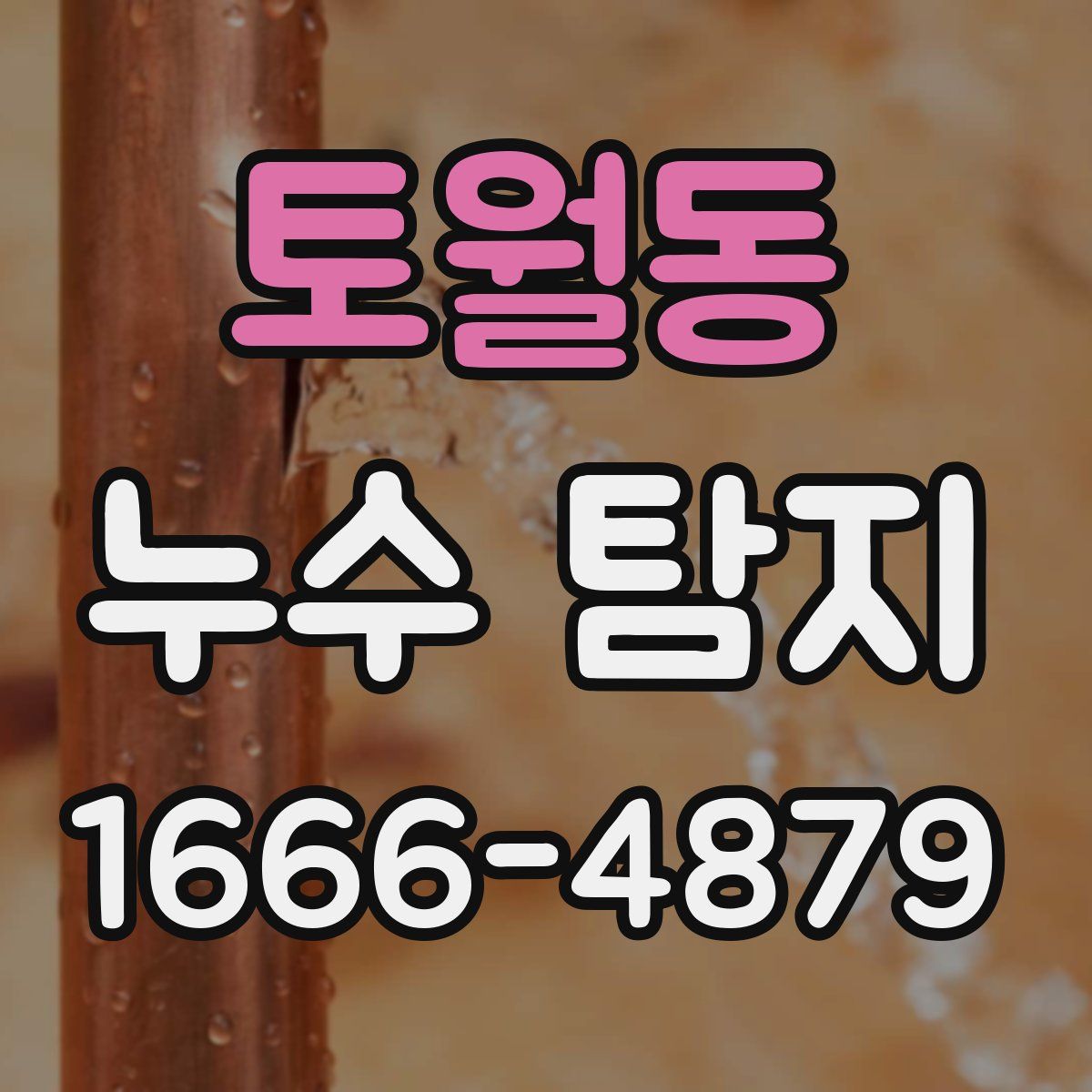 토월동 누수 탐지