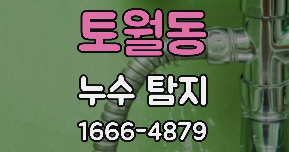 토월동 누수 탐지