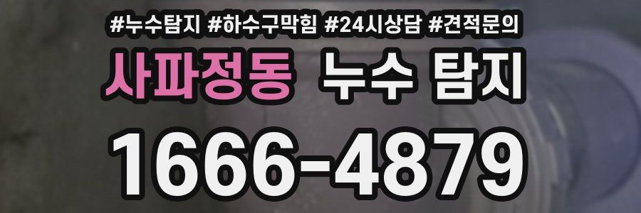 사파정동 누수 탐지