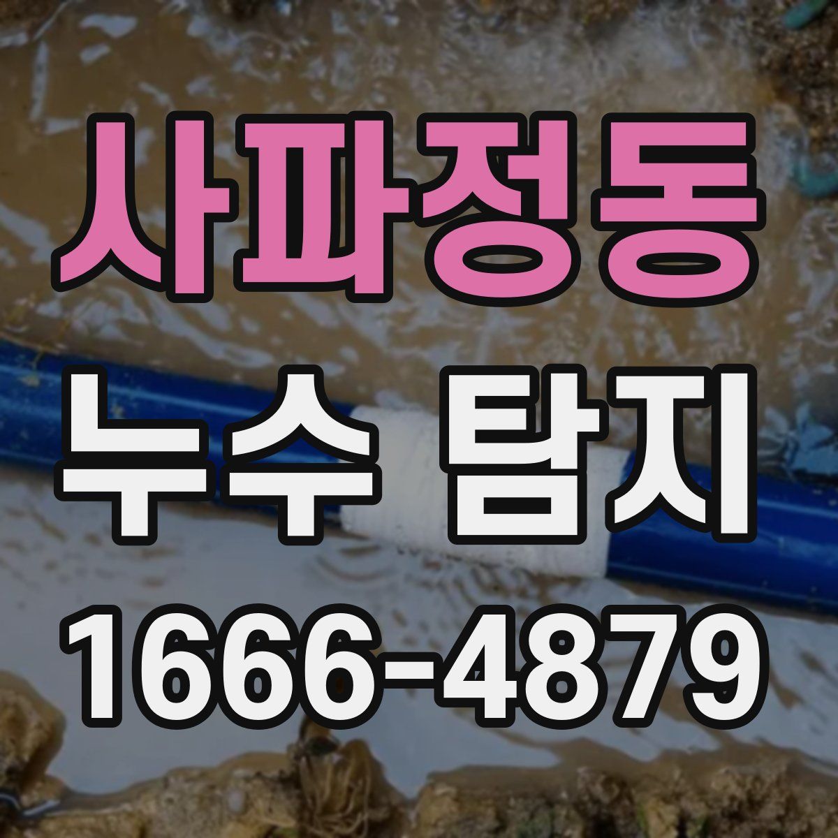 사파정동 누수 탐지