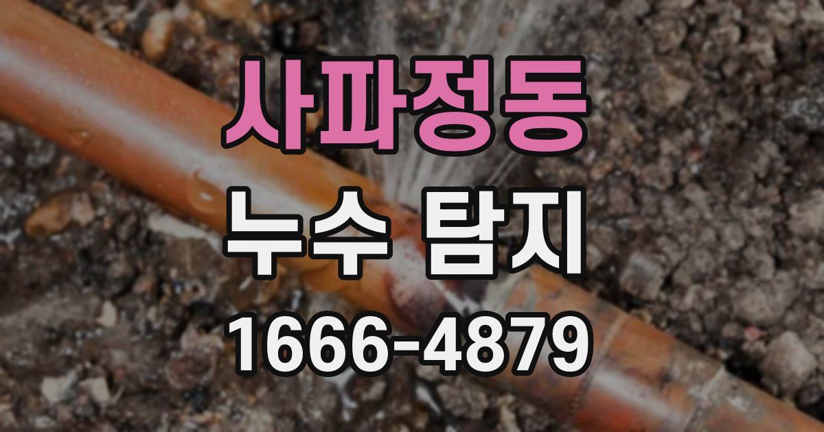 사파정동 누수 탐지