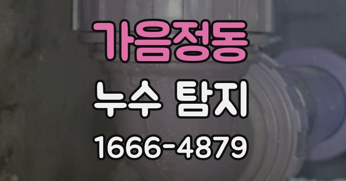 가음정동 누수 탐지