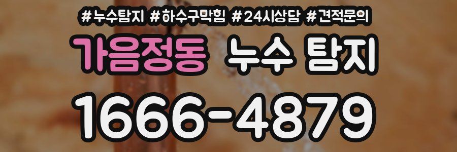 가음정동 누수 탐지