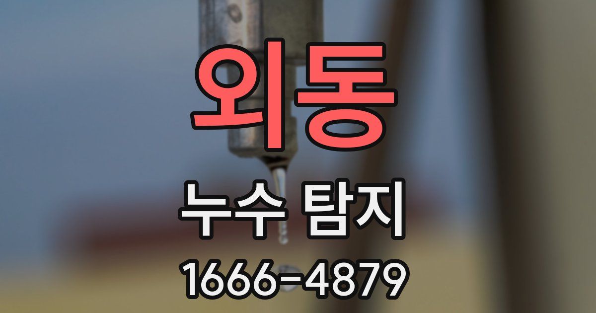 외동 누수 탐지