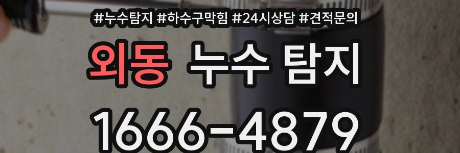 외동 누수 탐지