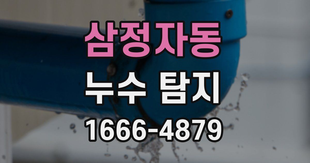삼정자동 누수 탐지