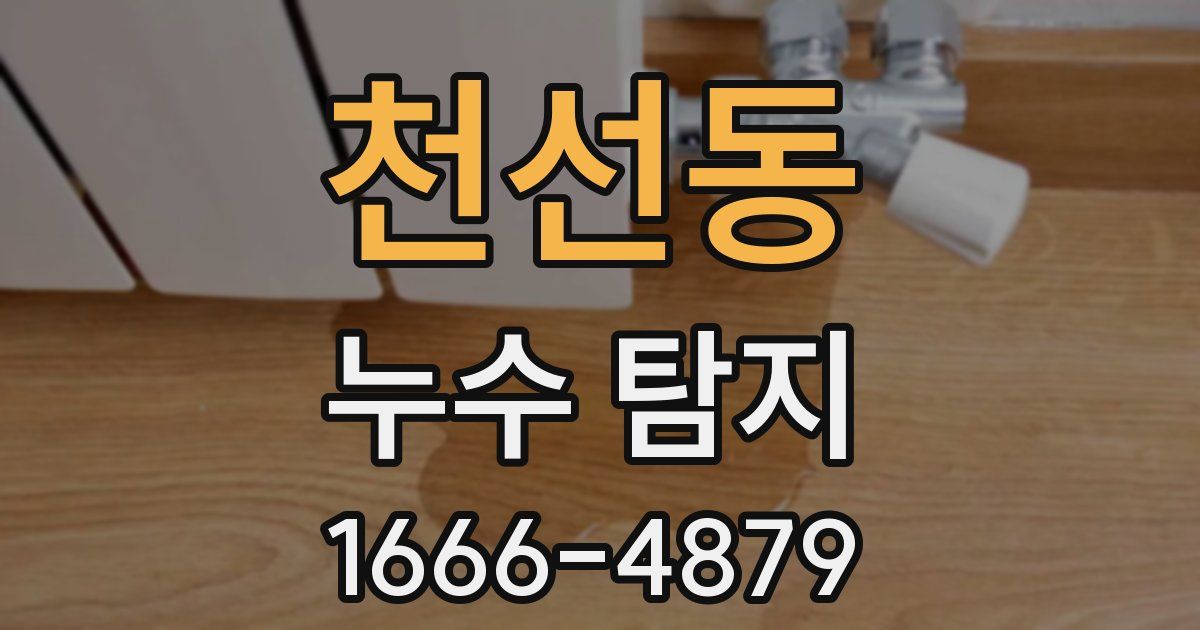 천선동 누수 탐지