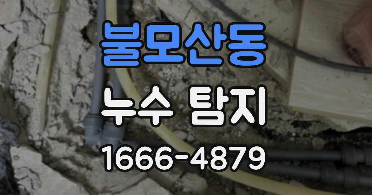 불모산동 누수 탐지