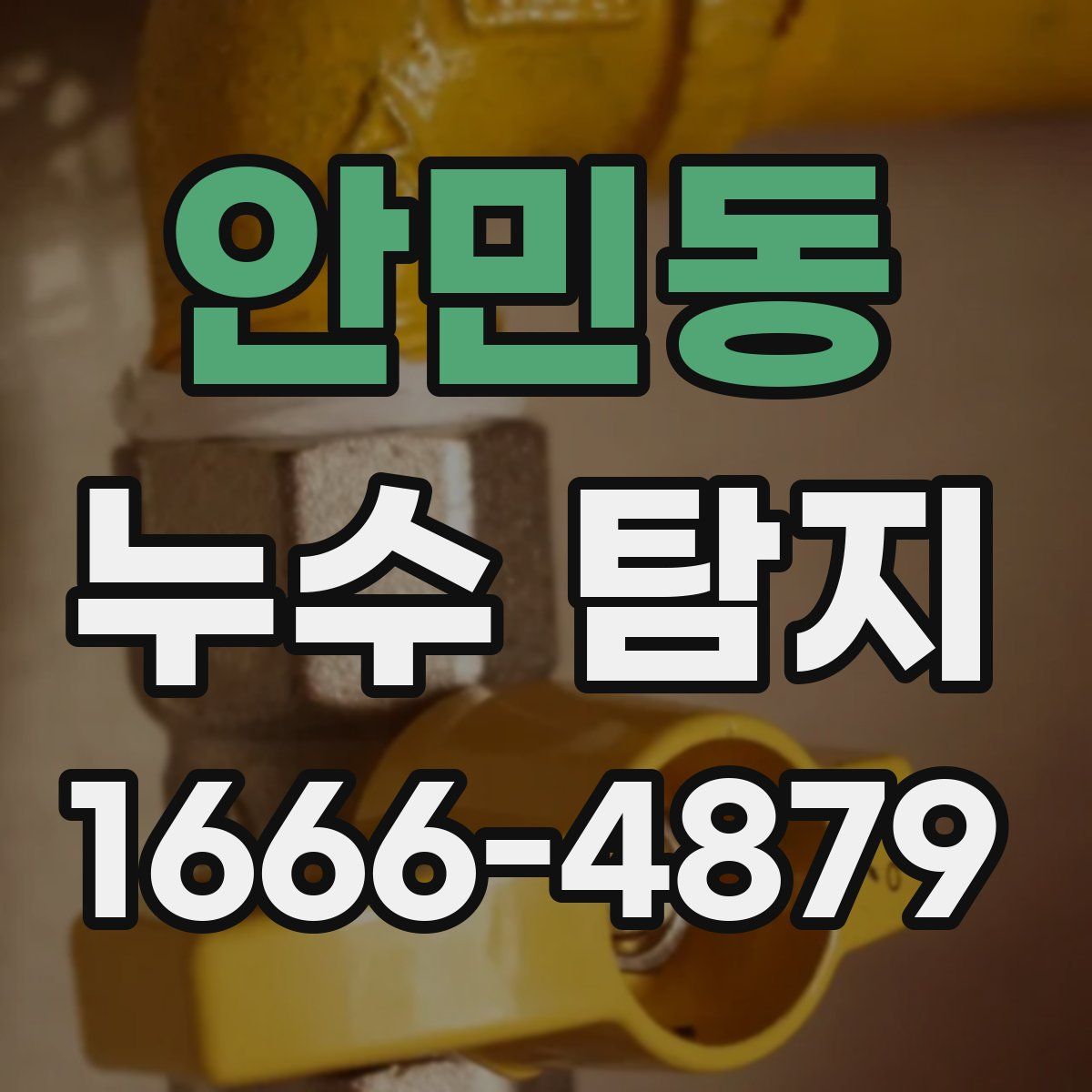 안민동 누수 탐지