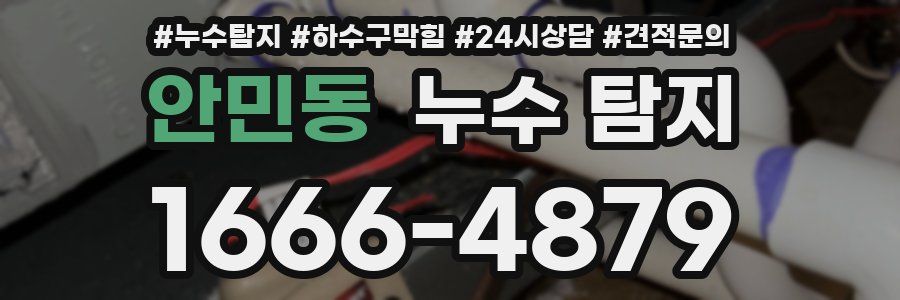 안민동 누수 탐지