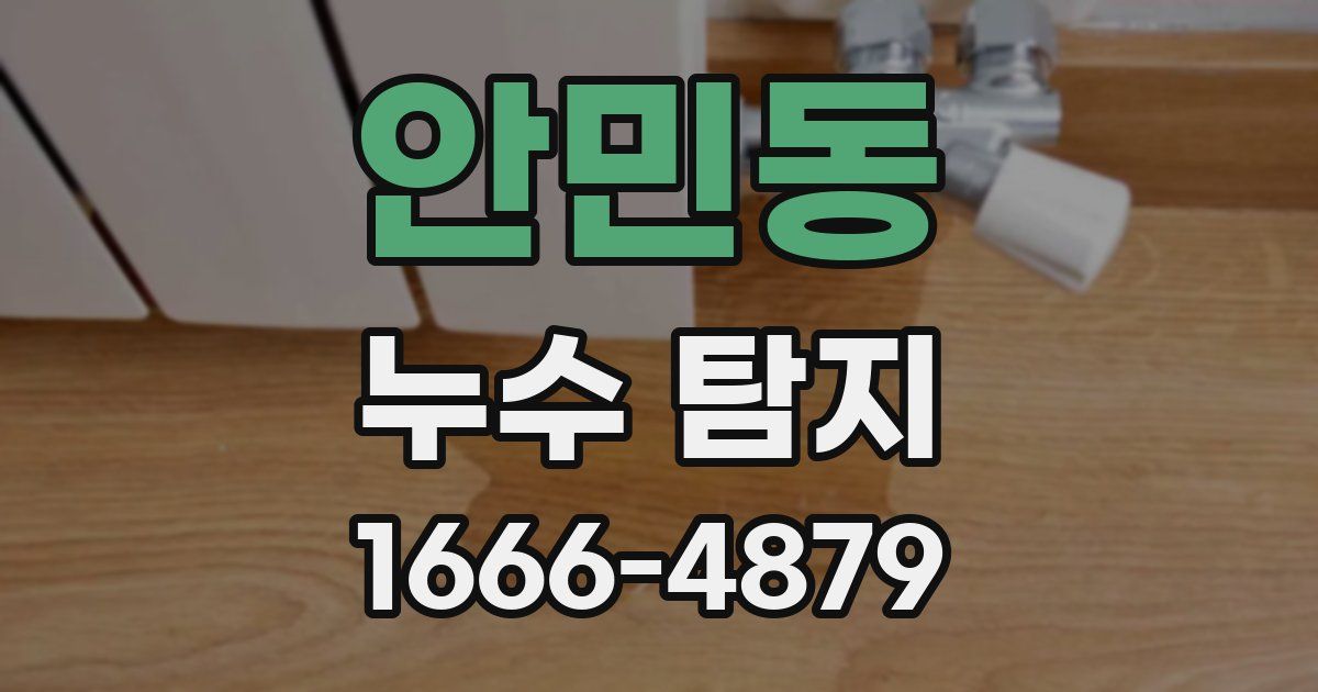 안민동 누수 탐지