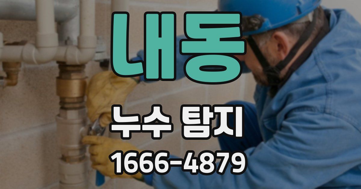 내동 누수 탐지