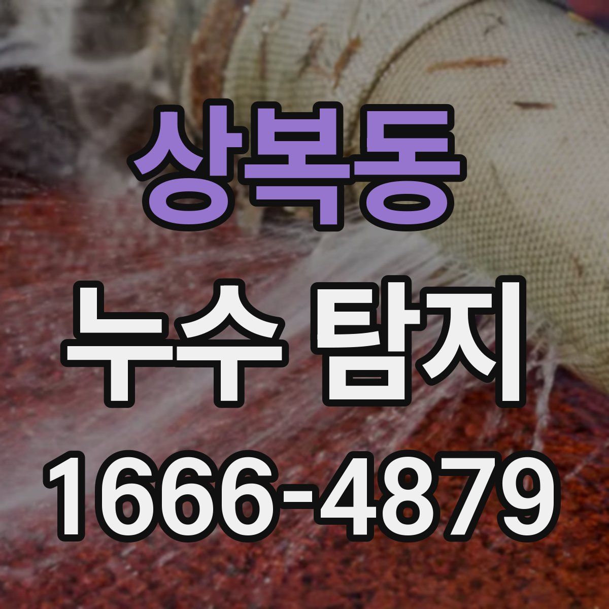 상복동 누수 탐지
