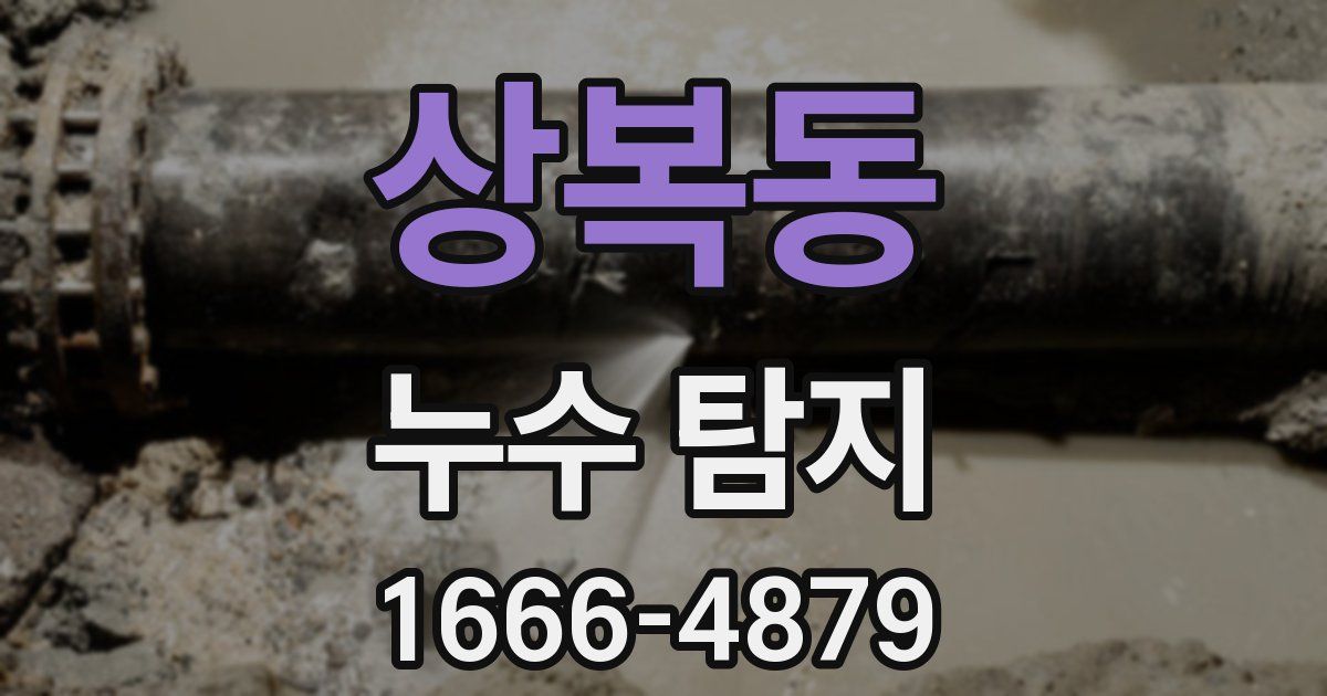 상복동 누수 탐지