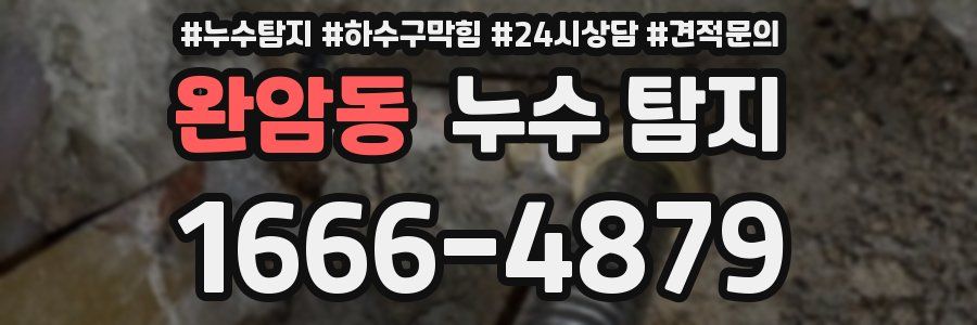 완암동 누수 탐지